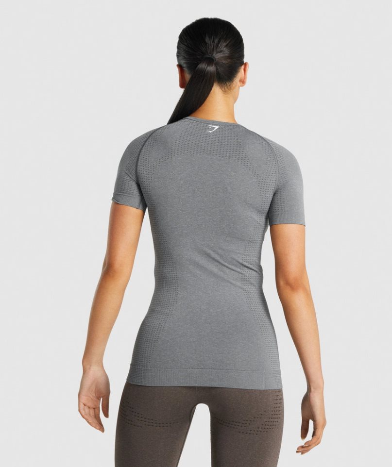 Women's Gymshark Vital Seamless 2.0 T-Shirts Grey | CA N30A51